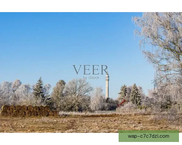 图片报罗斯托克因球迷雪球或被罚